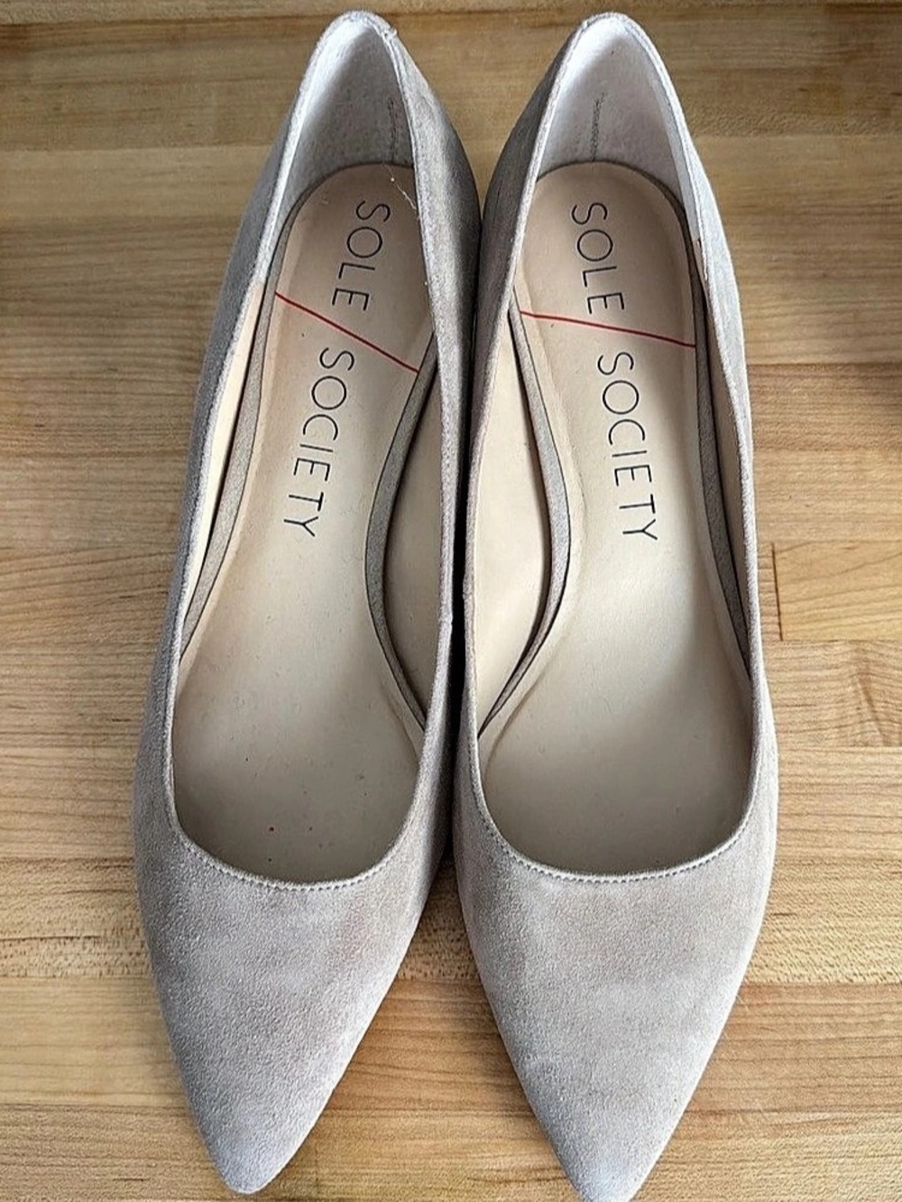 Sole Society Pointed Toe Block Heel Pumps in Beige